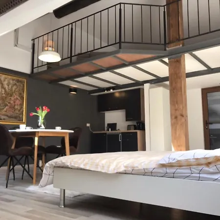 Savoya Nr2 Loft Old Center Self Check-in Workspace Apartment Timisoara