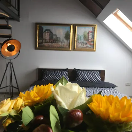 Savoya Nr2 Loft Old Center Self Check-in Workspace Apartment Timisoara