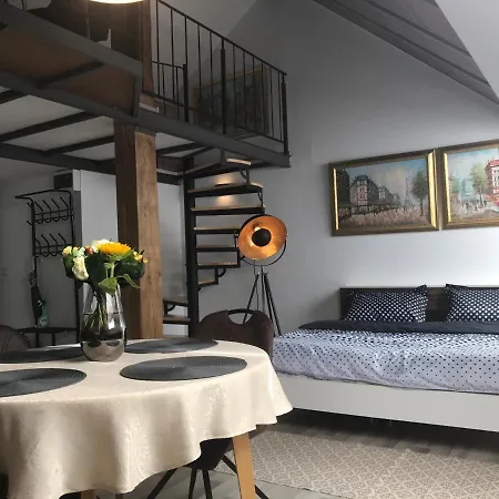 Savoya Nr2 Loft Old Center Self Check-in Workspace * Timisoara