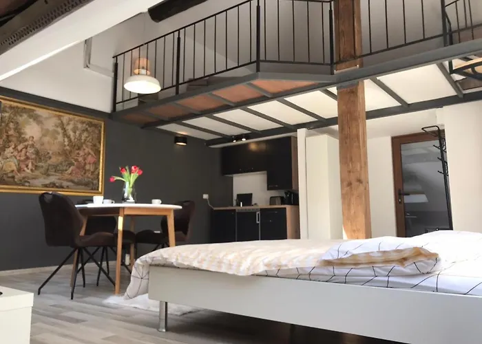 Savoya Nr2 Loft Old Center Self Check-in Workspace Apartmán Temešvár