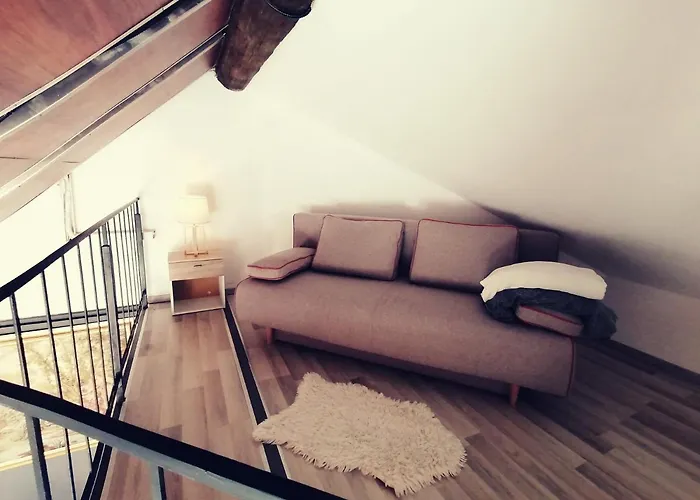 Savoya Nr2 Loft Old Center Self Check-in Workspace Temešvár