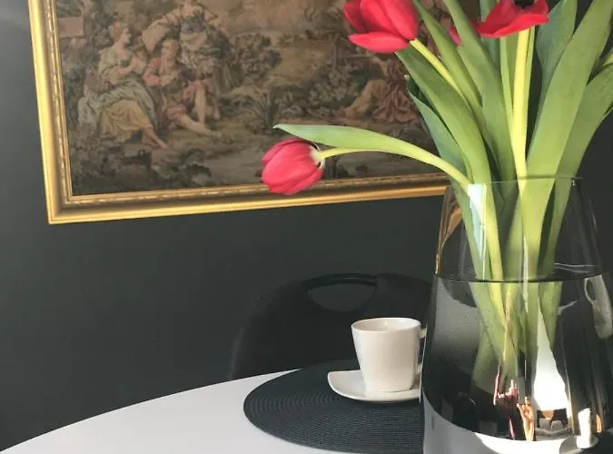 Savoya Nr2 Loft Old Center Self Check-in Workspace Timisoara