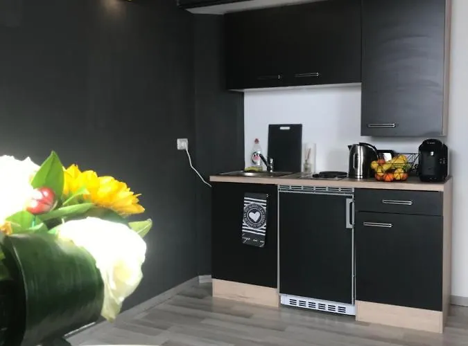 Savoya Nr2 Loft Old Center Self Check-in Workspace * Timisoara