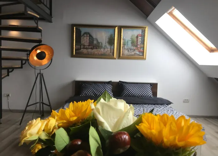 Savoya Nr2 Loft Old Center Self Check-in Workspace Apartamento Timisoara