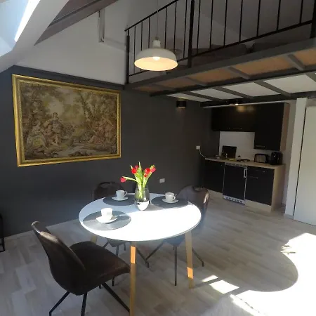 Savoya Nr2 Loft Old Center Self Check-in Workspace * Timișoara
