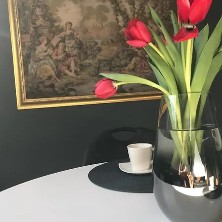 Savoya Nr2 Loft Old Center Self Check-in Workspace Timişoara