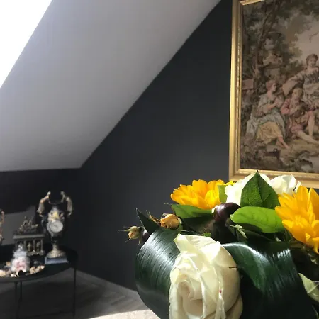 Apartament Savoya Nr2 Loft Old Center Self Check-in Workspace *